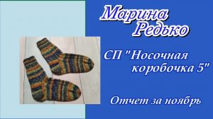 СП "Носочная коробочка 5" / Отчет за ноябрь