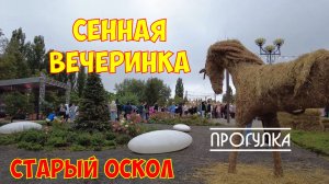 ПОСЕТИЛ СЕННУЮ ВЕЧЕРИНКУ В СТАРОМ ОСКОЛЕ