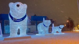 39/Россия,г.Тюмень.Приехали медведи.Снегопад.Гуляем