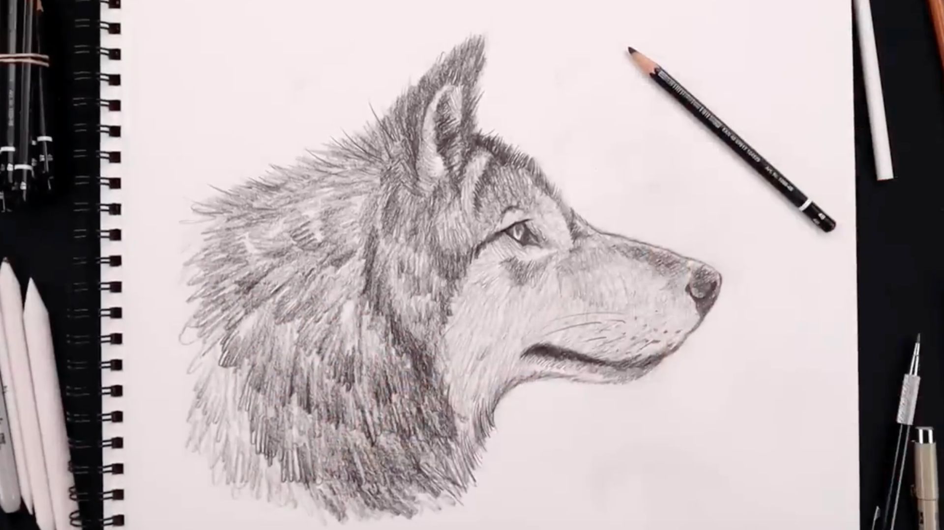 Как нарисовать карандашом волка в профиль для начинающих- урок по рисованию (шаг за шагом)