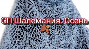 СП"Шалемания Осень" с Катериной Шурм/ отчёт ноябрь/ итоги