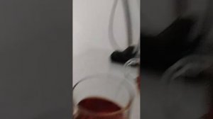 Басик ходит по потолку