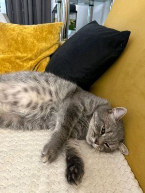 давайте нам задания