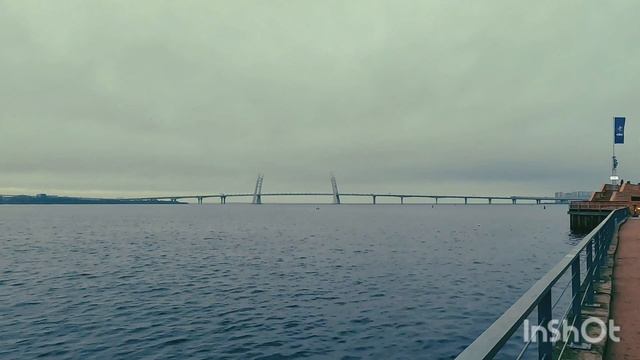 Прогулка по Васильевскому острову ноябрь 2025 смотреть онлайн