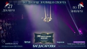 Цирк Новогодняя Феерия в Томске! С 27 декабря по 11 января!