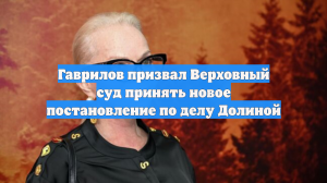 Гаврилов призвал Верховный суд принять новое постановление по делу Долиной