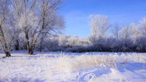 Белым снегом (простой вариант) разбор на гармони №-435 с цифрами