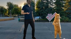 Вирусные танцы в Чертково.