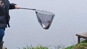 VID_20251130_103140_681