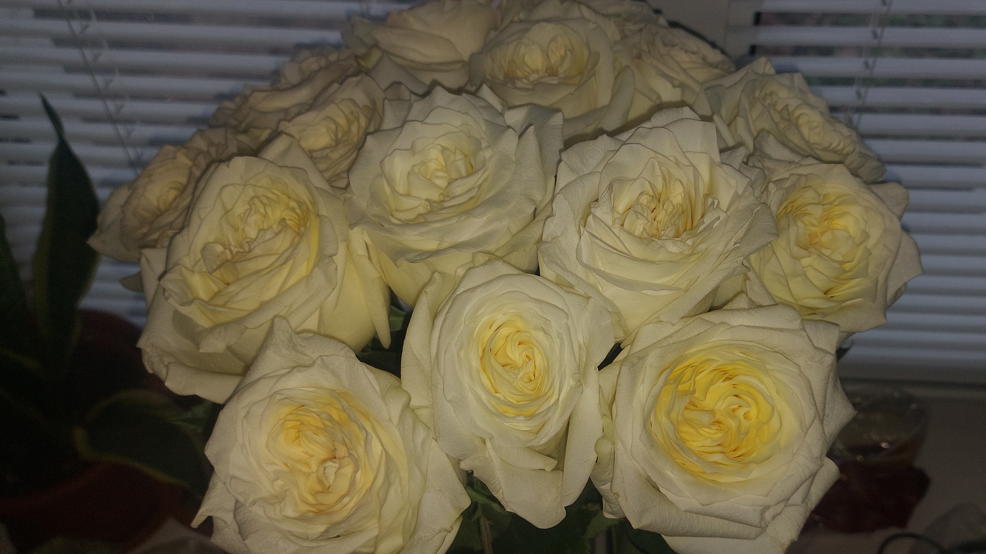 Подарок Маме