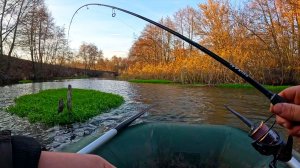 Я В ШОКЕ С ТАКОЙ РЫБАЛКИ!! КЛЮЕТ НА КАЖДОМ ЗАБРОСЕ!! ПОЙМАЛ ВСЕ ТАКИ СВОЙ ТРОФЕЙ!! Рыбалка 2025
