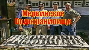 Мервинское Водохранилище