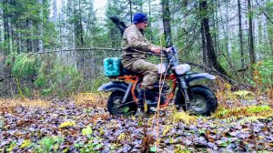 ТАЁЖНЫЙ МЕТАЛЛ.Закрыл Сезон Металлокопа Хорошими Находками