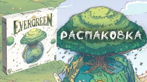 Evergreen. Зелёный мир - Распаковка настольной игры