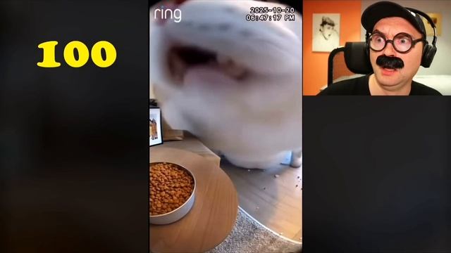 лвьалальакц3 ьбюр3д5токв5нлоютачоетч,унк7унк7ее87а578е24ы86я49Ц3ш67нарежщшгшлржшАВшргвпяшуокгпкцлдты смотреть онлайн