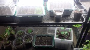 30.11.2025 Первые всходы, первые потери, первые выводы.