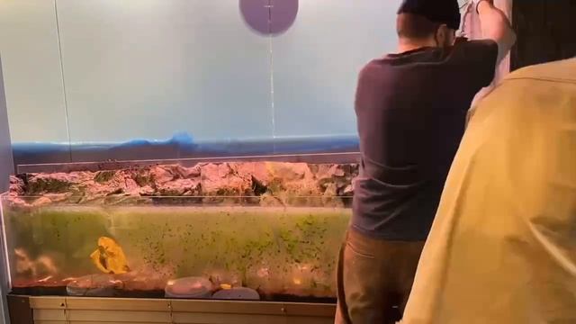 Подготовка