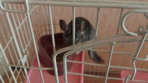 Дружба и взаимовыручка