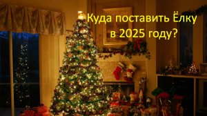 Куда поставить ёлку в 2025 году?