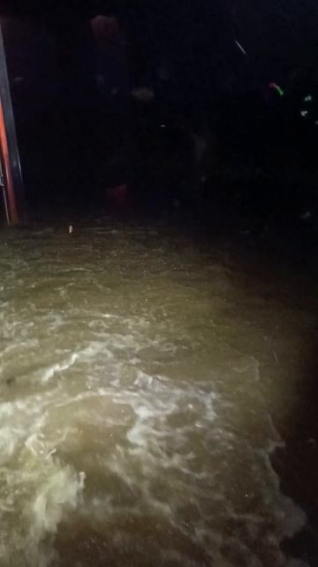 Спасение маленькой мышки. смотреть онлайн