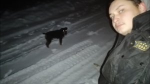 КАК Я ВЫГУЛИВАЮ ЯГДТЕРЬЕРА НА НОЧЬ | ТРЕНИРОВКА