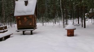 Наша прогулочка по сказочному лесу. Тропа Сказок и тропа Здоровья. Западная Сибирь. Югорск..