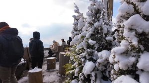 Швейцария. Снежная прогулка по горе Утлиберг в Цюрихе в формате 4К