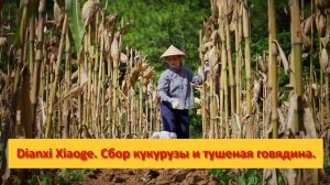 Dianxi Xiaoge. Китай. Сбор кукурузы и тушеная говядина.