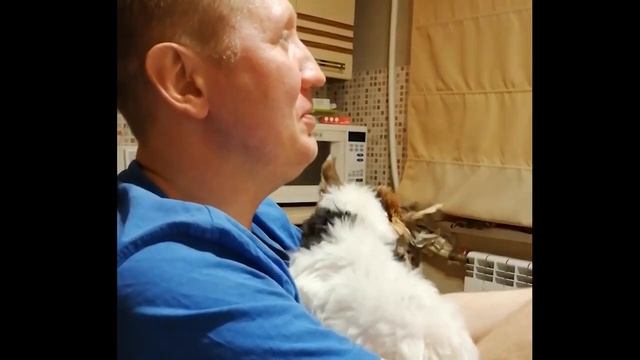 Вэн Ти смотреть онлайн