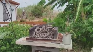 Апельсиновый 🍊 Хутор   🍌🍌🍌  Жизнь Семьи на Своей Земле