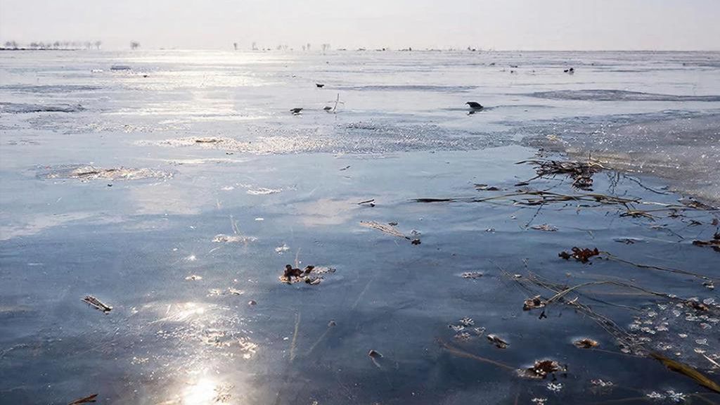 Весенний лед