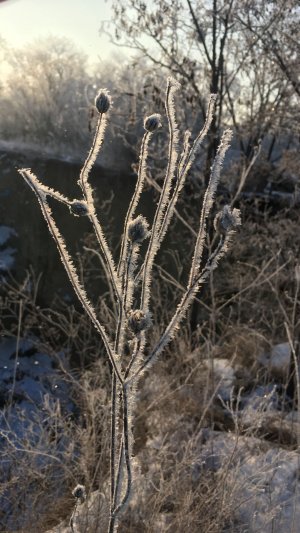 Легенда(эЛь)