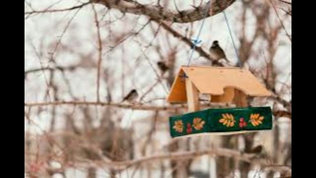 1 декабря - Платон и Роман Зимоуказатели. Народные приметы и традиции