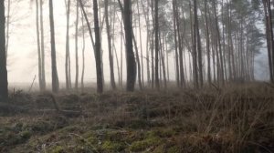 1 декабря. Почему этот день нельзя пропустить_