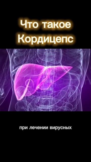 Что такое кордицепс? Гриб от 100 болезней! смотреть онлайн
