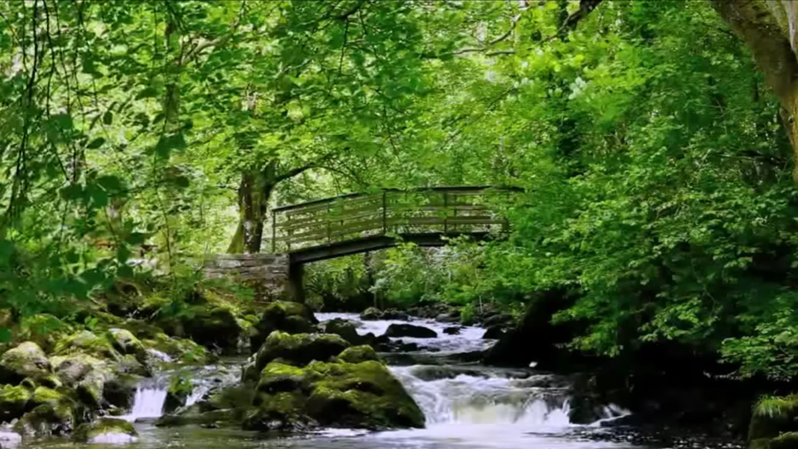 Расслабляющие звуки природы - изучение - сон-медитация-вода - птица