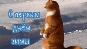 Зимняя премьера! С первым днём зимы.Оригинальная музыкальная открытка.