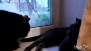 Небольшие разборки.