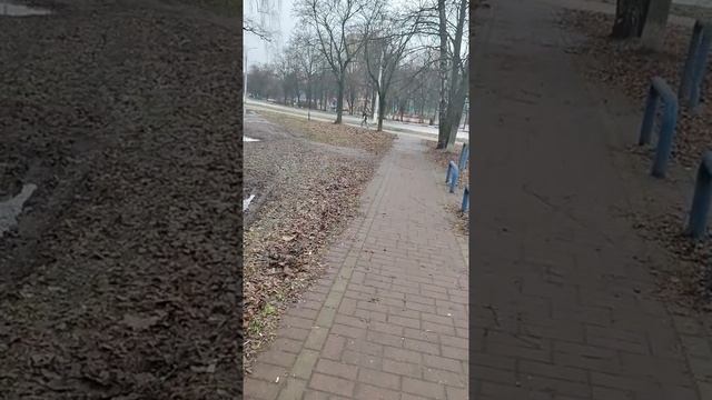 РУТУБ НАКРУЧИВАЕТ цифры