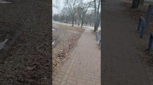 РУТУБ НАКРУЧИВАЕТ цифры