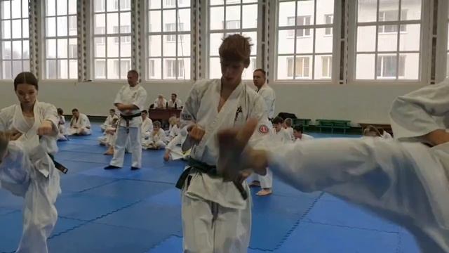 30-11-2025 組手、形、三日月クラブ смотреть онлайн