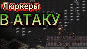 Старкрафт ZvT - Зерг ZeaLoT и его знаменитый мута-харас в действии, потом переключается в масс люру