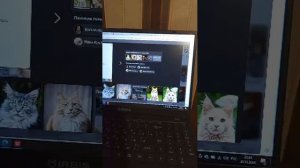 презентация