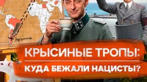 Крысиные тропы как нацисты бежали от правосудия Кто им помогал Расплата