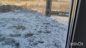 Клоновые подвои в условиях бесснежной Хакасии. Сад Тоторова В.