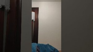 я вернулась , и это вопрос ответ