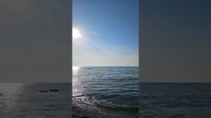 Обсуждения жизни Алеутов и Валентины кто как живет