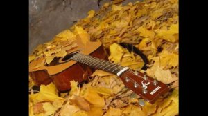 Струна аккордами заплачет @Дмитрий..Экс-Промт