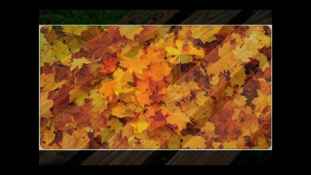 Опять опадает листва... смотреть онлайн