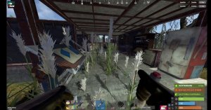 соло на пве